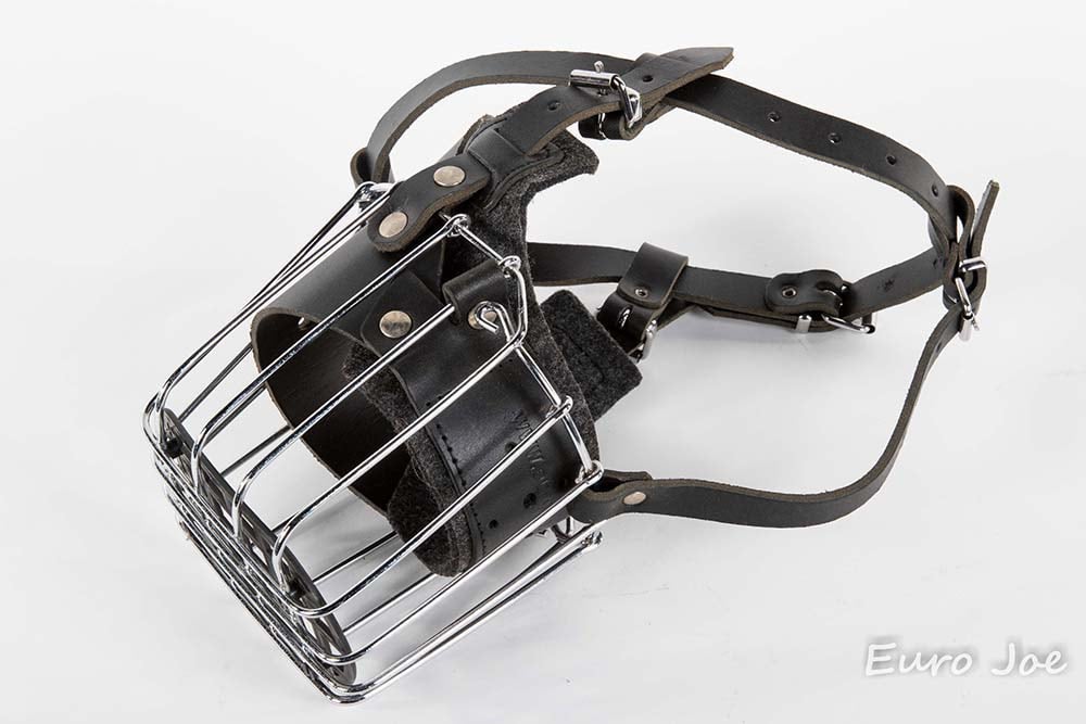 Silver muzzles cheap